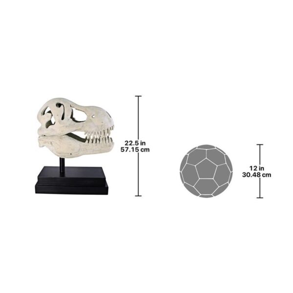 Design Toscano NE100502 10 Inch T-Rex Dinosaur Skull on Mount