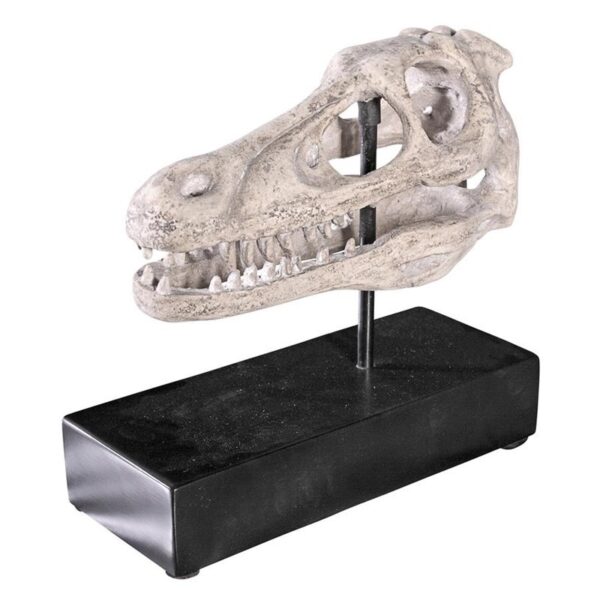 Design Toscano NE100503 10 1/2 Inch Velociraptor Skull Fossil Statue