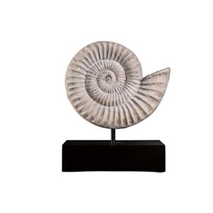 Design Toscano NE100505 8 1/2 Inch Ammonite Fossil Statue on Mount