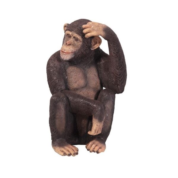 Design Toscano NE110026 18 1/2 Inch Chauncey the Confused Chimp Statue