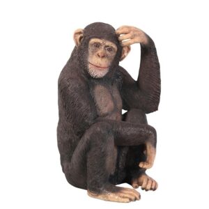 Design Toscano NE110026 18 1/2 Inch Chauncey the Confused Chimp Statue