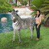 Design Toscano NE110075 58 Inch Grand Scale Adult Zebra Statue