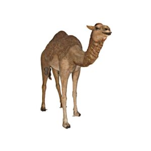 Design Toscano NE120052 98 Inch Life Size Camel Statue