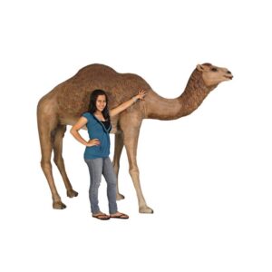 Design Toscano NE120052 98 Inch Life Size Camel Statue