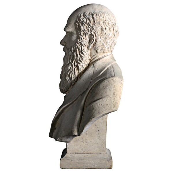 Design Toscano NE130080 21 Inch Darwin Bust