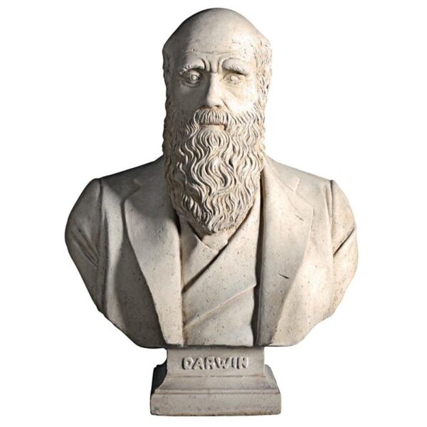 Design Toscano NE130080 21 Inch Darwin Bust