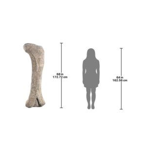 Design Toscano NE140057 68 Inch Apatosaurus Femur Fossil Statue