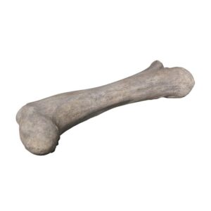 Design Toscano NE140057 68 Inch Apatosaurus Femur Fossil Statue