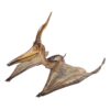 Design Toscano NE140072 57 Inch Pteranodon Ingens Statue Fort-Quote