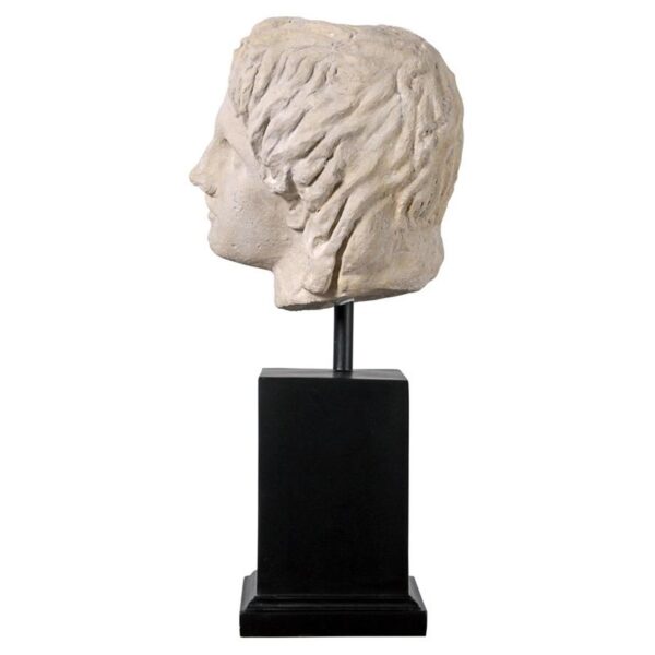 Design Toscano NE150257 11 Inch Alexander the Great Bust on Mount