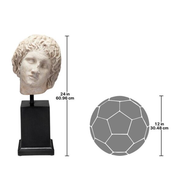 Design Toscano NE150257 11 Inch Alexander the Great Bust on Mount