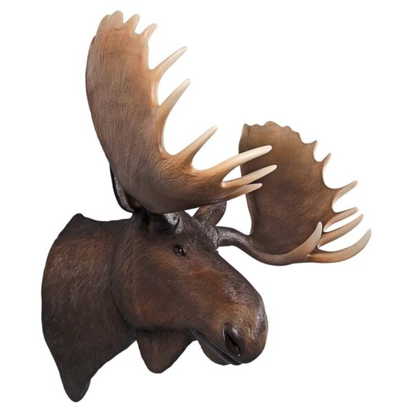 Design Toscano NE180023 41 Inch Moose Head Wall Decor