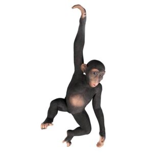 Design Toscano NE80079 19 Inch Hanging Chimp Jungle Monkey Statue