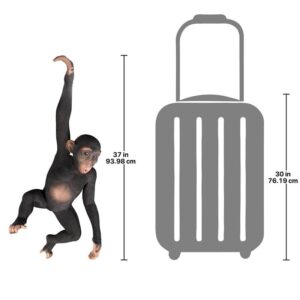 Design Toscano NE80079 19 Inch Hanging Chimp Jungle Monkey Statue