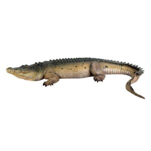 Design Toscano NE80123 135 Inch Tropical Wetlands Crocodile Statue