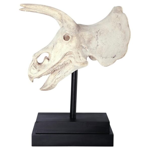 Design Toscano NE867039 10 1/2 Inch Triceratops Dinosaur Skull on Mount