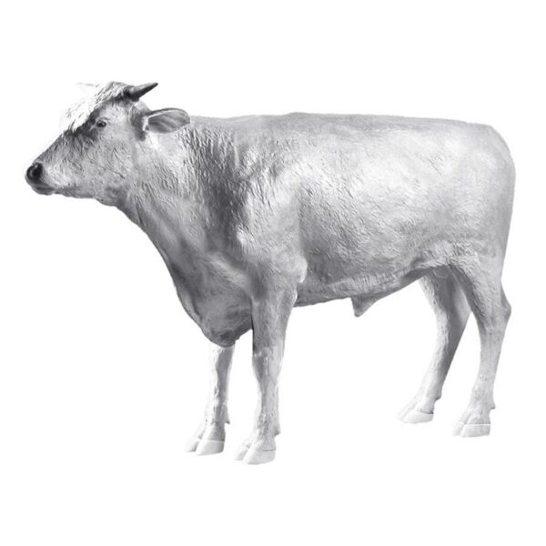 Design Toscano NE980125 81 1/2 Inch Grand Scale Herford Steer - Unpainted