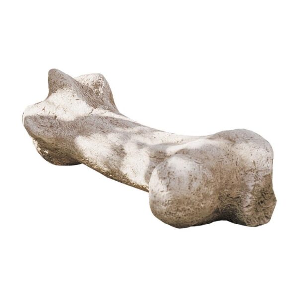 Design Toscano NG32762 43 Inch Gigantic Dinosaur Bone Statue