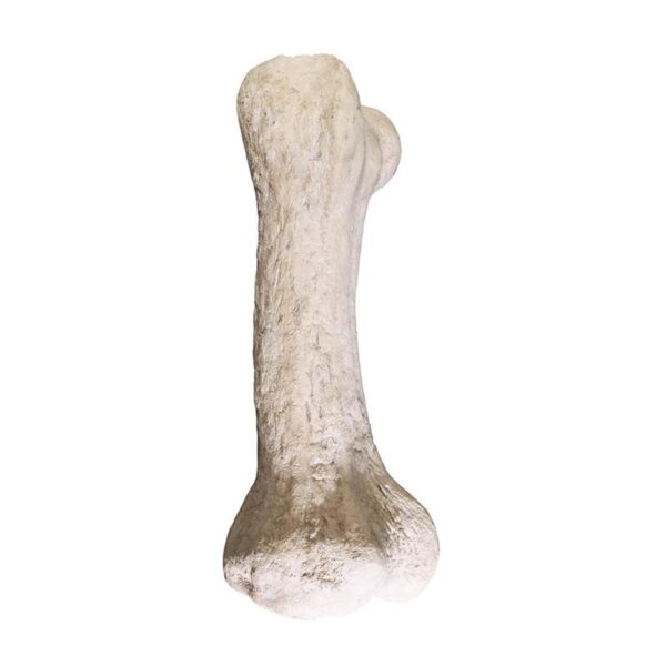 Design Toscano NG32762 43 Inch Gigantic Dinosaur Bone Statue