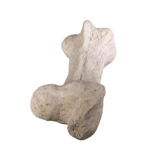 Design Toscano NG32762 43 Inch Gigantic Dinosaur Bone Statue