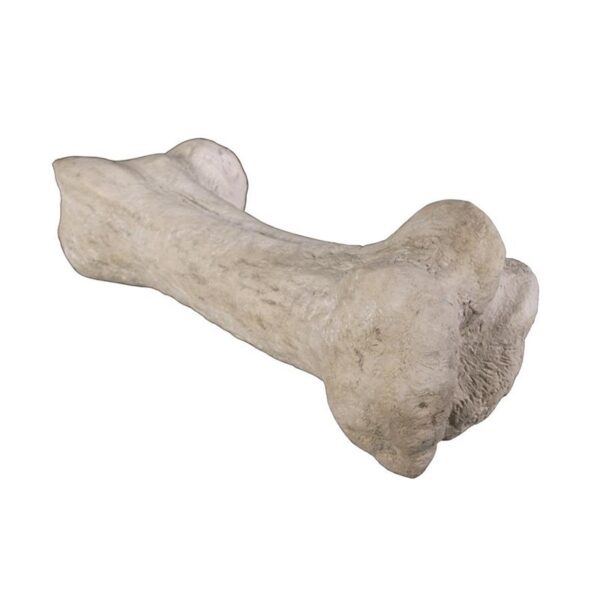 Design Toscano NG32762 43 Inch Gigantic Dinosaur Bone Statue