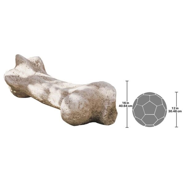 Design Toscano NG32762 43 Inch Gigantic Dinosaur Bone Statue