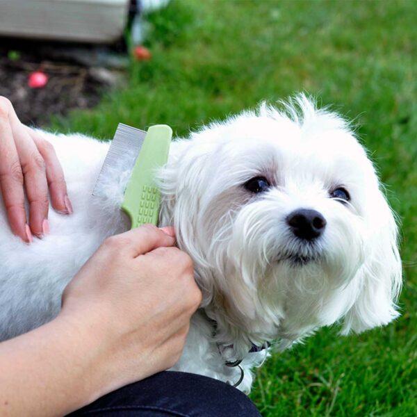 Safari  by Coastal  Dog Flea Comb with Plastic Handle