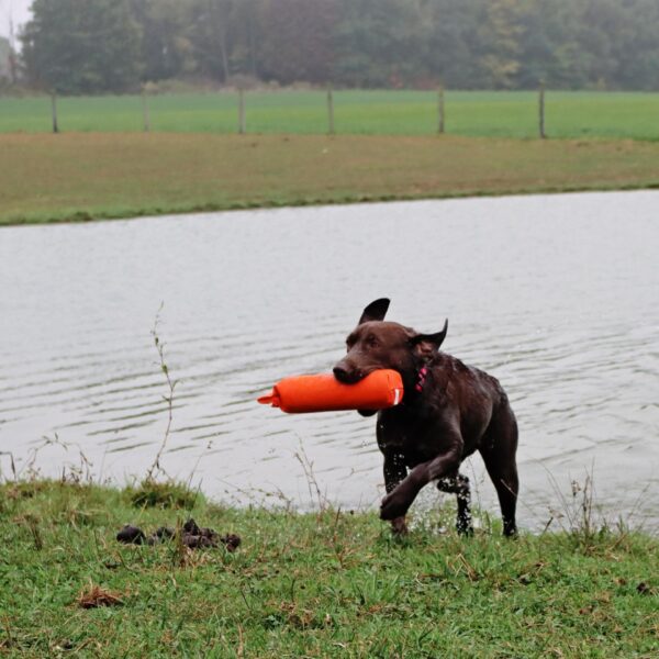 Water & Woods Canvas Dog Training Dummies