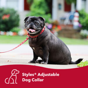 Styles Adjustable Dog Collar