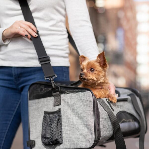 Bergan  Booster Pet Carrier