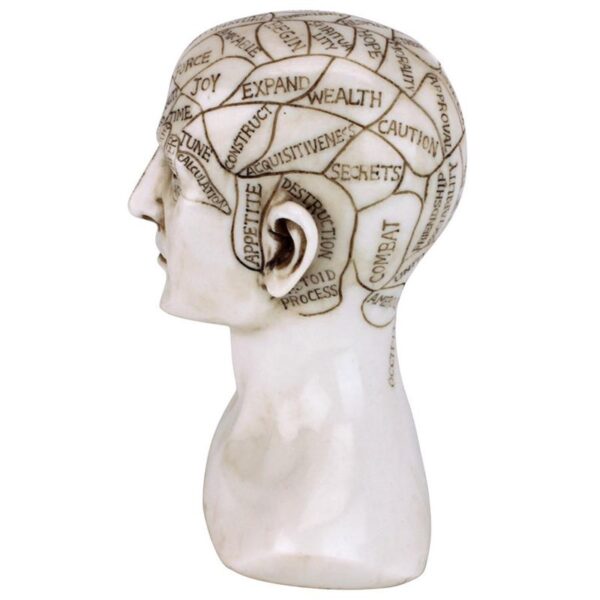 Design Toscano PD4068 5 Inch Phrenology Science of the Brain Statue