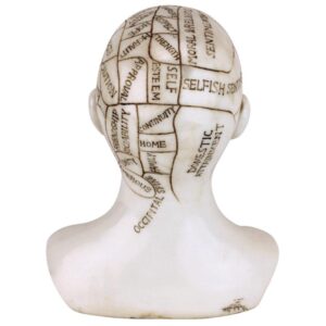 Design Toscano PD4068 5 Inch Phrenology Science of the Brain Statue