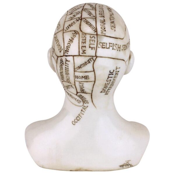 Design Toscano PD4068 5 Inch Phrenology Science of the Brain Statue