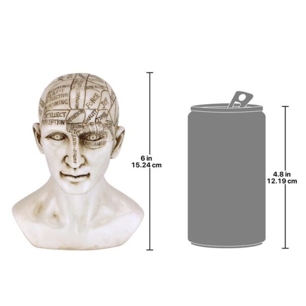 Design Toscano PD4068 5 Inch Phrenology Science of the Brain Statue