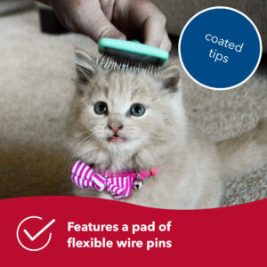 Lil Pals  Kitten Slicker Brush with Coated Tips