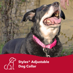 Styles Adjustable Dog Collar