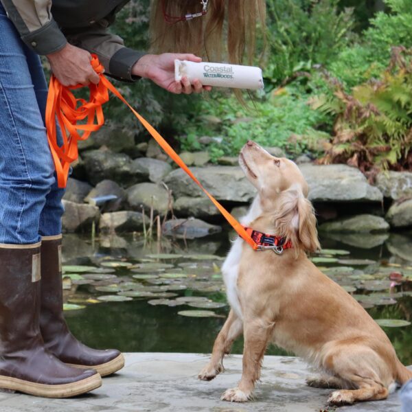 Water & Woods Canvas Dog Training Dummies