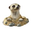 Design Toscano QL57081 10 Inch Meerkat Out of Hole