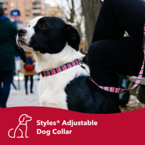 Styles Adjustable Dog Collar