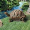 Design Toscano QM19644 26 Inch the Cagey Tortoise Statue