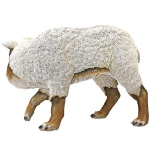 Design Toscano QM2803500 17 Inch Wolf in Sheeps Clothing Statue