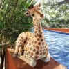 Design Toscano QM3019700 8 1/2 Inch Zari the Resting Giraffe Statue, Medium