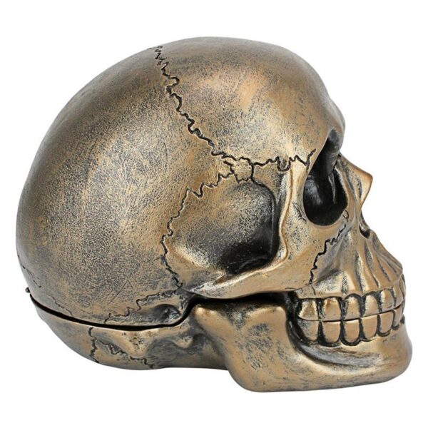 Design Toscano QS3917 5 Inch Memento Mori Skull Clock