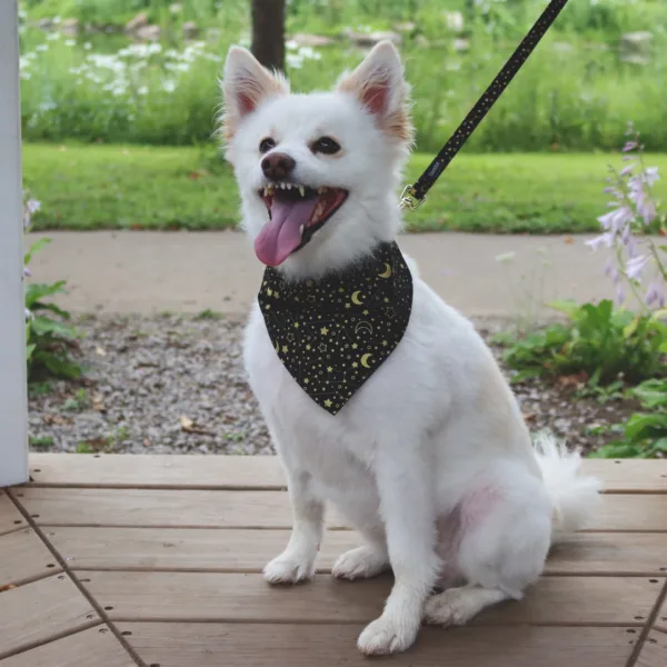 Accent Metallic Over the Collar Dog Bandana