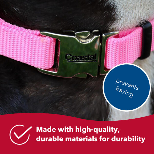 Coastal  Adjustable Dog Collar with Metal Buckle