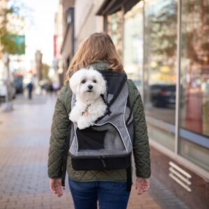 Bergan  Backpack Pet Carrier