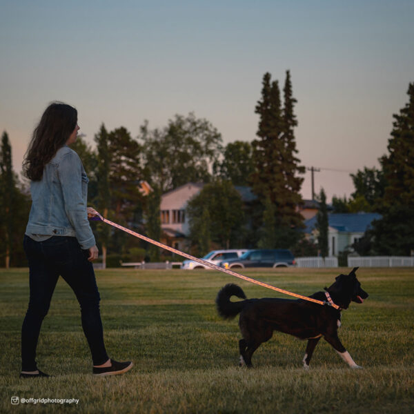 Lazer Brite  Reflective Open-Design Dog Leash