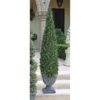 Design Toscano SE11158 12 Inch Cone Evergreen Topiary