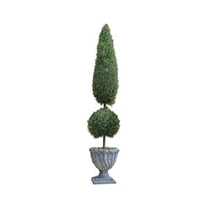 Design Toscano SE6090 Topiary 11 Inch Classic Evergreen Topiary