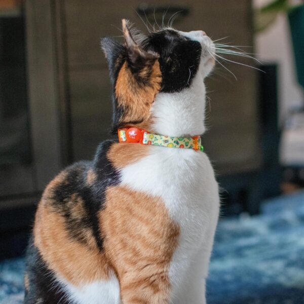 Safe Cat  Fashion Adjustable Breakaway Collar